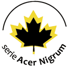 seri Acer nigrum 
