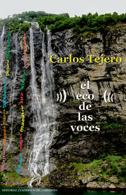 Carlos Tejero: El eco de las voces