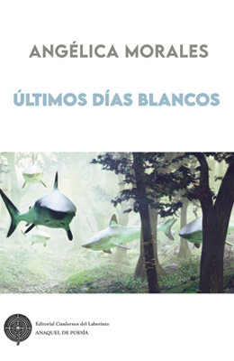 Ang&eacute;lica Morales. &Uacute;LTIMOS D&Iacute;AS BLANCOS